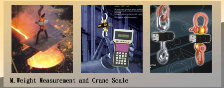 M.天車吊秤和拉力指示計Weight Measurement and Crane Scale