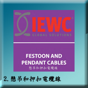 2. 懸吊和押扣電纜線FESTOON AND PENDANT CABLES