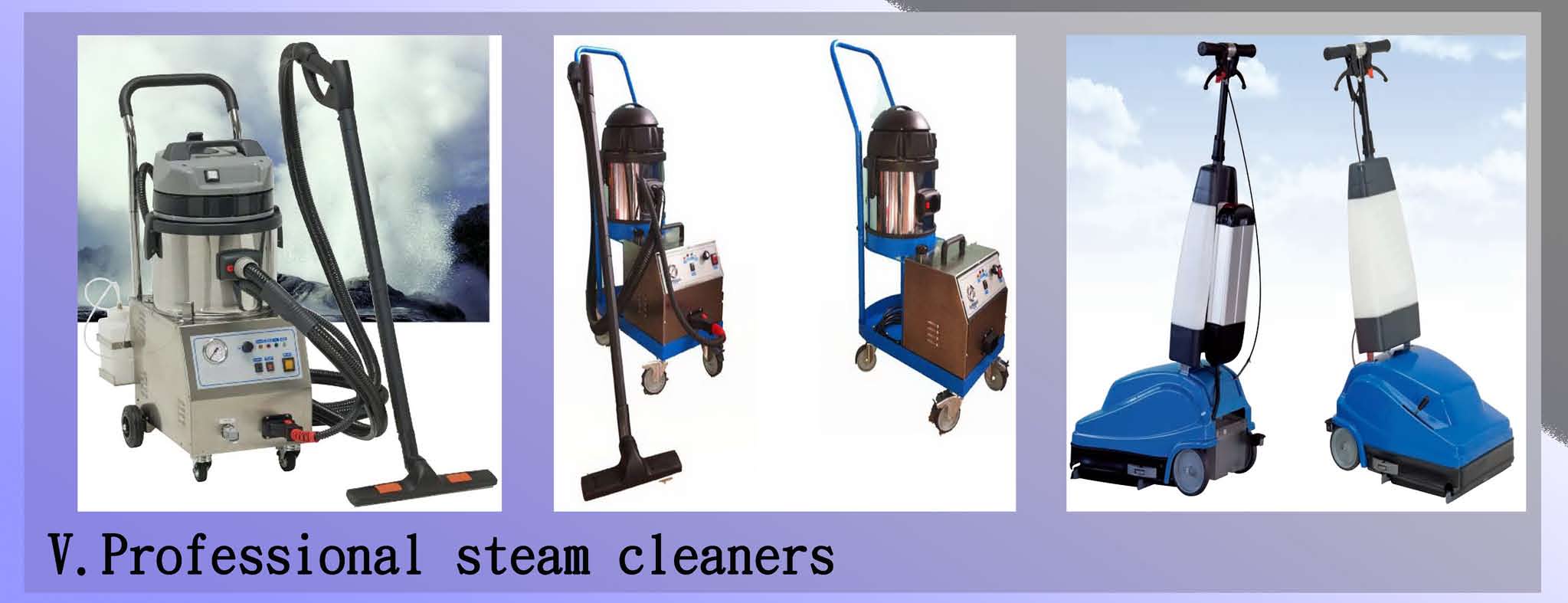 Professional steam cleaners