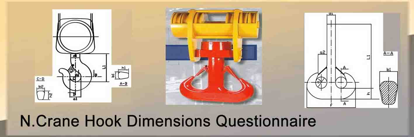 Crane Hook Dimensions Questionnaire
