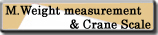 M.Weight measurement & Crane Scale