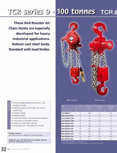 Red Rooster氣動鍊條吊車Red Rooster air chain hoist-11