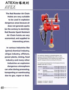 Red Rooster氣動鍊條吊車Red Rooster air chain hoist-19