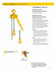 耶魯手拉手搖吊車-C85型棘輪式手搖吊車 Yale Hand Chain-Ratchet lever hoist with roller chain model C85